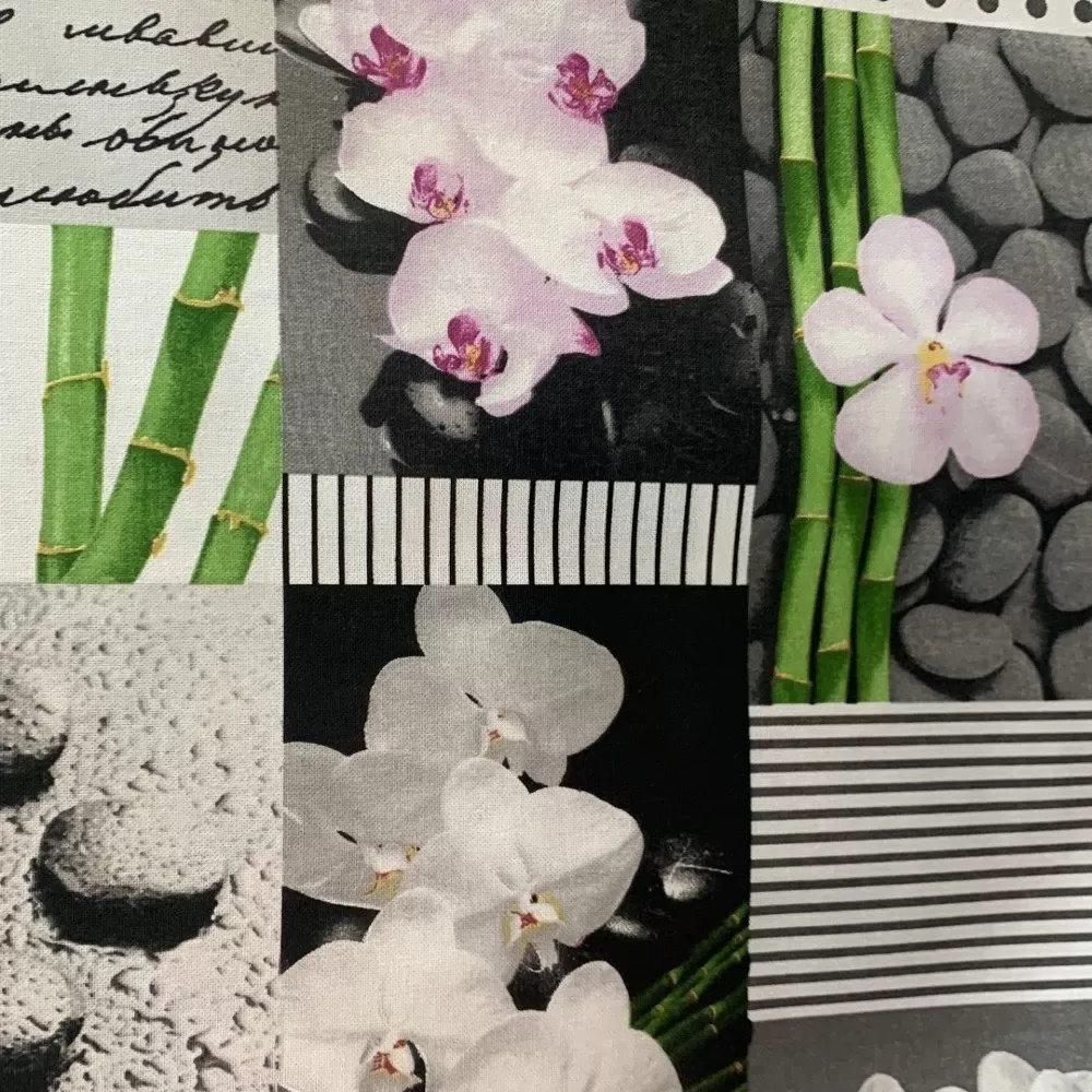 ZEN ORQUIDEAS