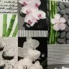 ZEN ORQUIDEAS