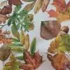 MAPLE TIERRA