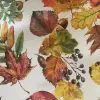 MAPLE TIERRA
