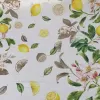 LIMONCELLO