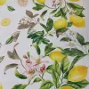 LIMONCELLO